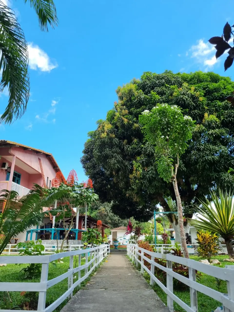 Alameda de entrada da CT Renovação com cercas brancas e jardim